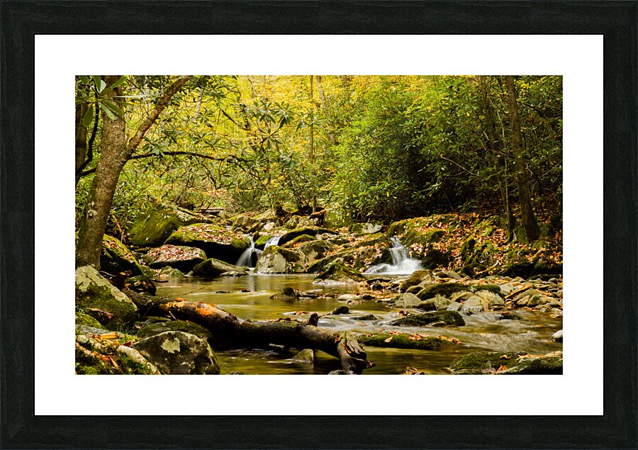 Rocky Fork III Picture Frame print