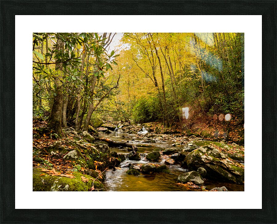 Rocky Fork II Picture Frame print