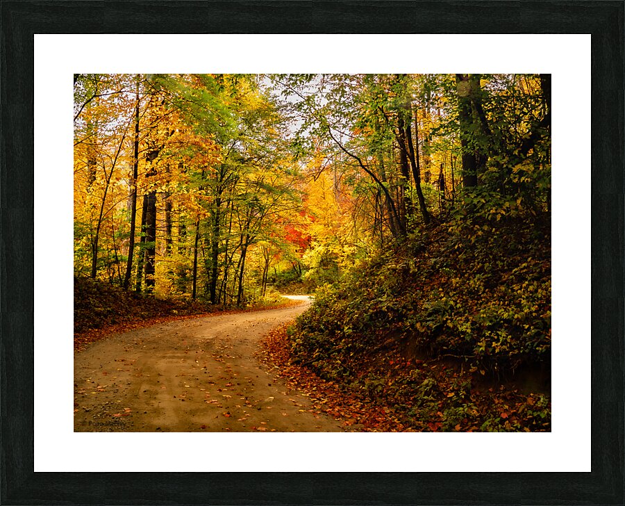 Hwy 197 Fall Picture Frame print