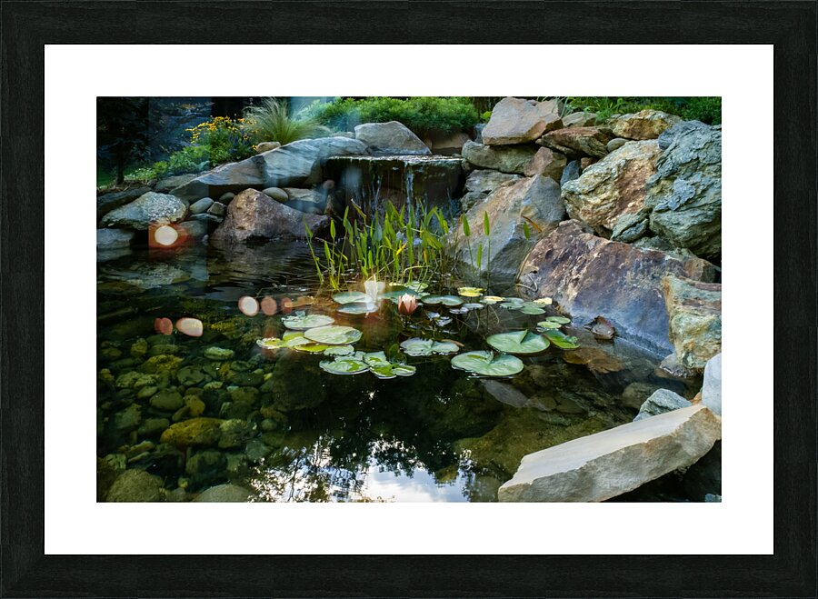 Lotus and Waterfall Picture Frame print
