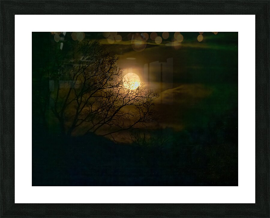 Wolf Moon Rising  2 Picture Frame print