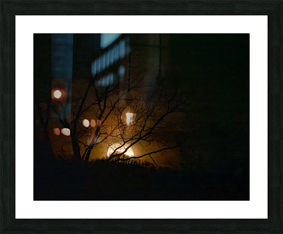 Wolf Moon Rising  1 Picture Frame print