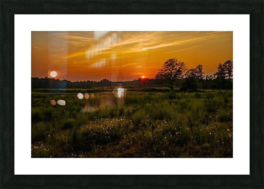 Alabama Sunset Picture Frame print