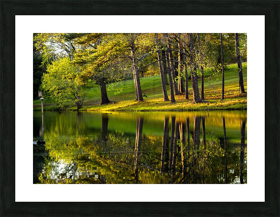 Reflections  2 Picture Frame print