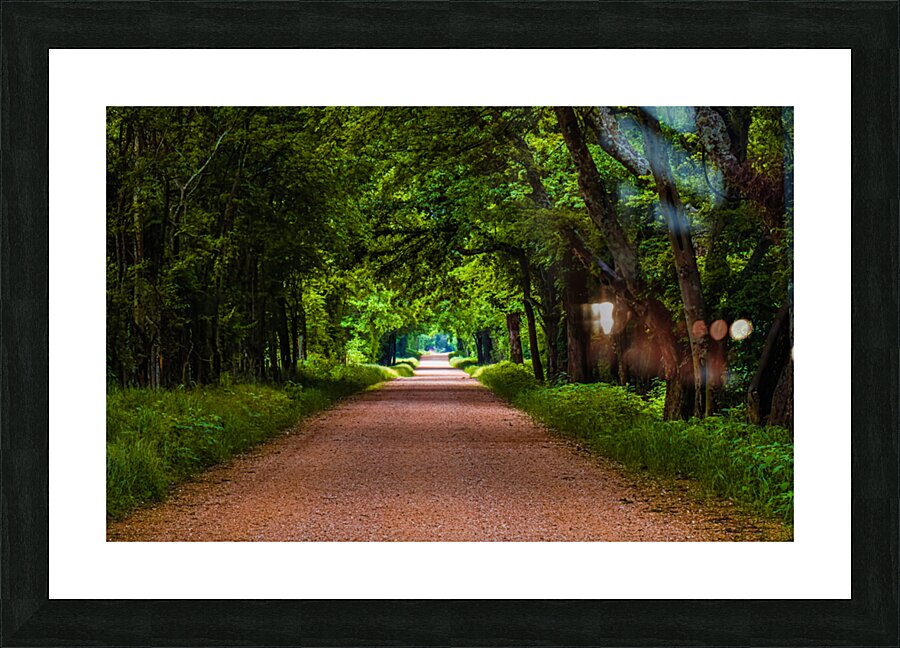 Alabama Backroad Picture Frame print