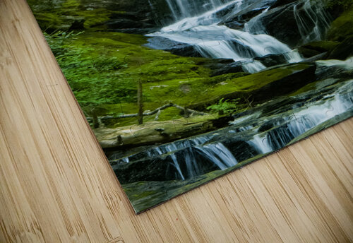 Roaring Fork Falls  4 Pope McElvy puzzle