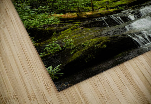 Roaring Fork Falls  3 Pope McElvy puzzle