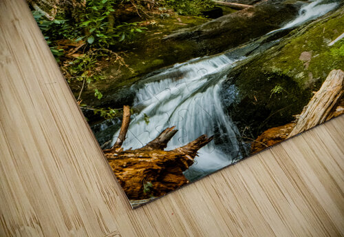Roaring Fork Falls  1 Pope McElvy puzzle