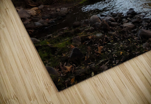 Fall On The River Pope McElvy puzzle