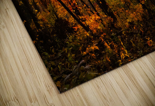 Sunset Through Fall Foliage Pope McElvy puzzle