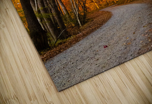 Burnsville Backroad  2 Pope McElvy puzzle