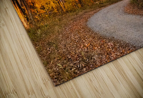 Burnsville Backroad  1 Pope McElvy puzzle