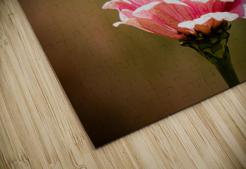 Monarch  2 Pope McElvy puzzle