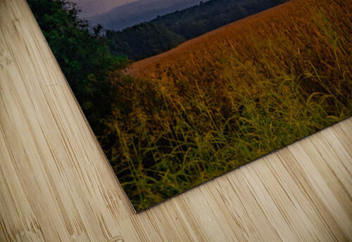 Evening Corn Field Pope McElvy puzzle