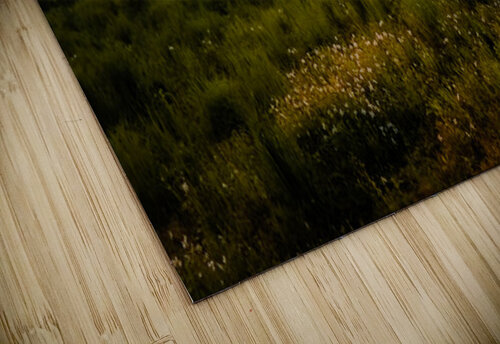 Pasture Sunset Pope McElvy puzzle