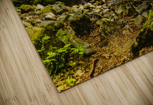 Rocky Fork Haven Pope McElvy puzzle
