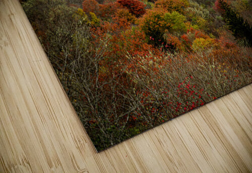 Graveyard Fields 1 Pope McElvy puzzle