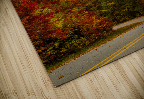 BRP Fall Pope McElvy puzzle