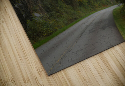 Into The Mist Pope McElvy puzzle