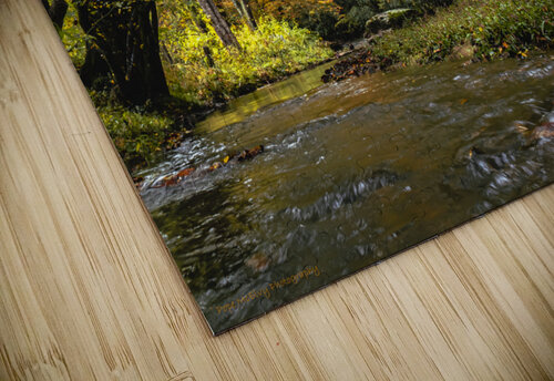 Reems Creek Fall  Pope McElvy puzzle