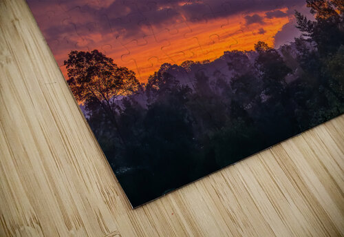 Sunrise Delight Pope McElvy puzzle