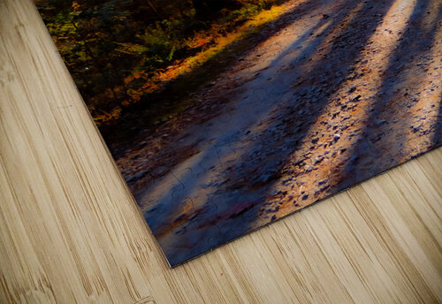 In The Woods Pope McElvy puzzle