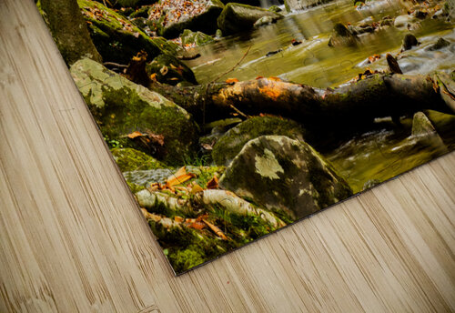 Rocky Fork III Pope McElvy puzzle
