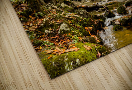 Rocky Fork II Pope McElvy puzzle