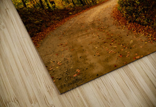 Hwy 197 Fall Pope McElvy puzzle