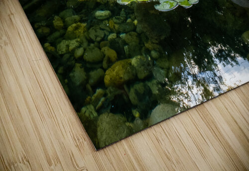 Lotus and Waterfall Pope McElvy puzzle