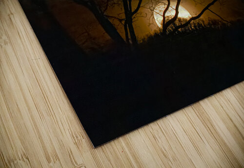 Wolf Moon Rising  1 Pope McElvy puzzle