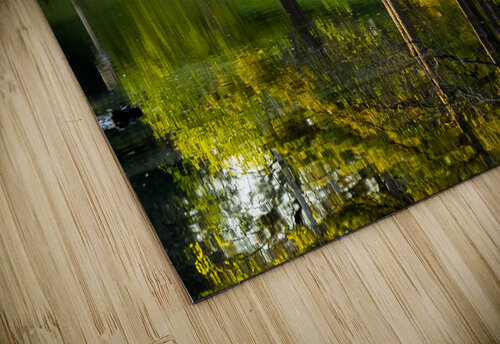 Reflections  2 Pope McElvy puzzle