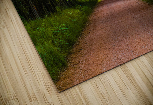 Alabama Backroad Pope McElvy puzzle