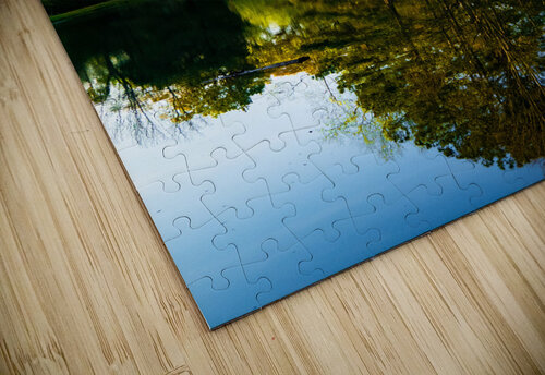 Reflection Pope McElvy puzzle