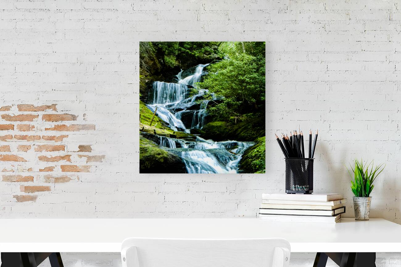 Roaring Fork Falls  2 Reproduction