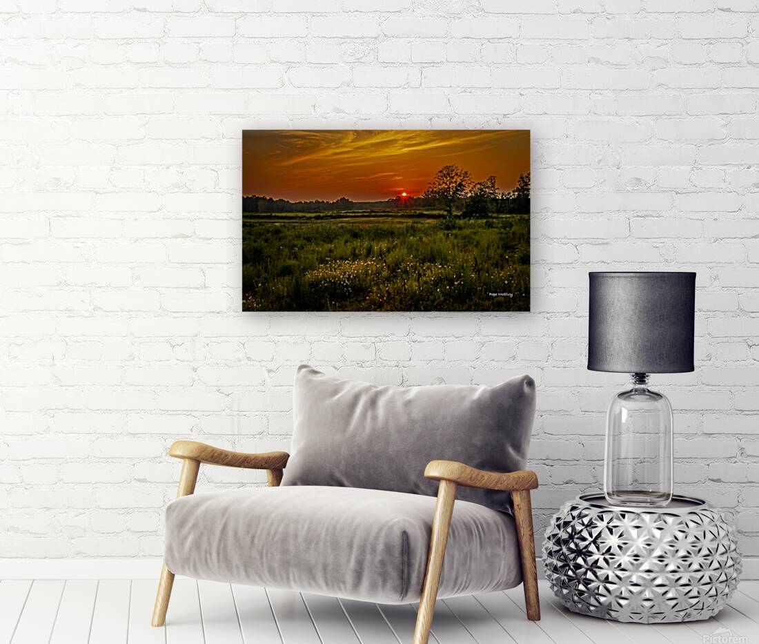 Pasture Sunset Reproduction