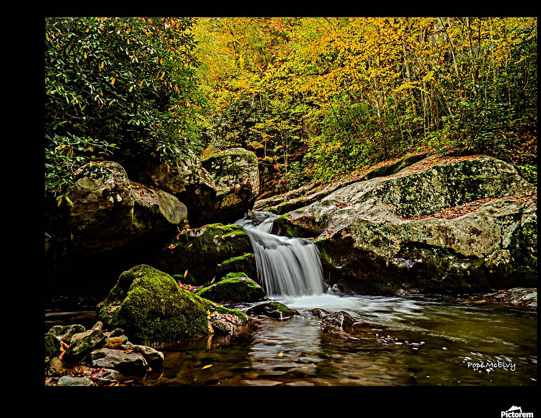 Fall at Rocky Fork Reproduction