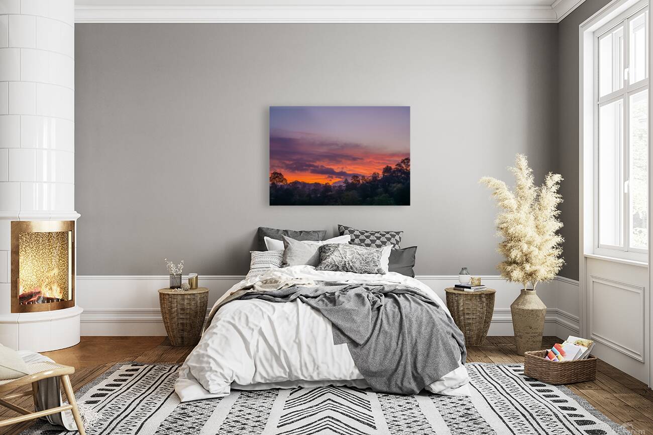 Sunrise Delight Reproduction