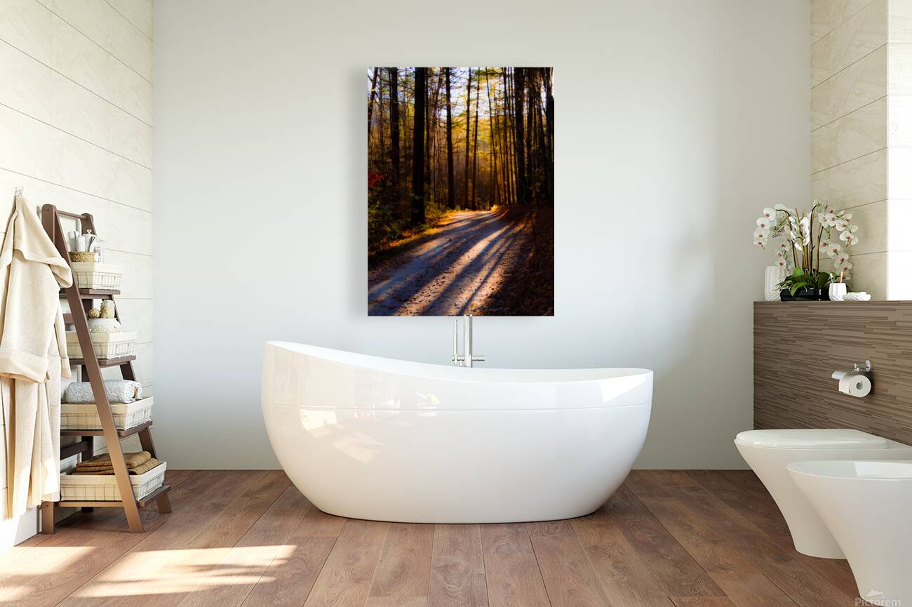 In The Woods Reproduction