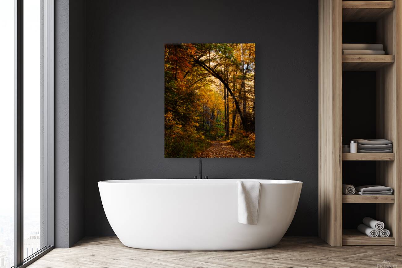 Pisgha Forest Trail Reproduction
