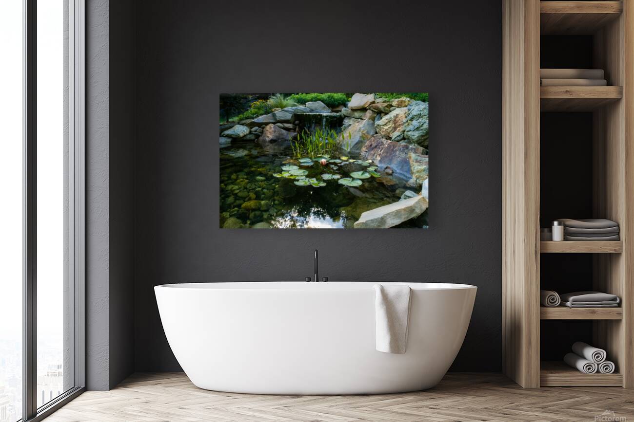 Lotus and Waterfall Reproduction