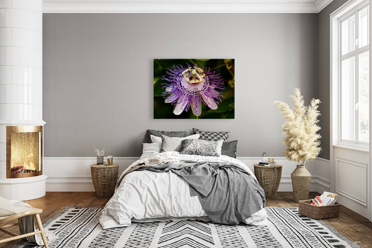 Passion Flower Reproduction
