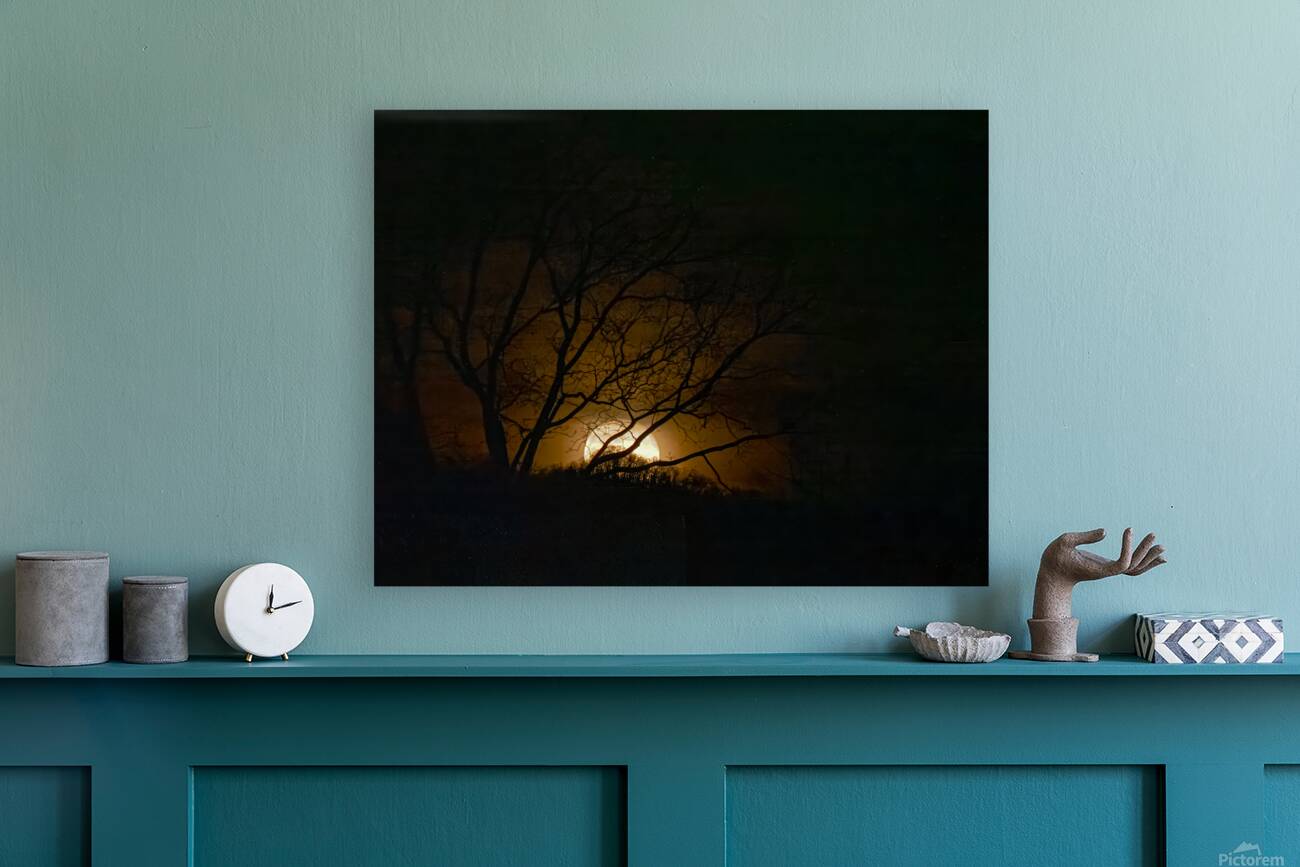 Wolf Moon Rising  1 Reproduction