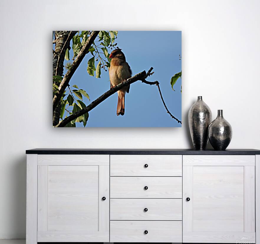 Bird on limb 2 Reproduction