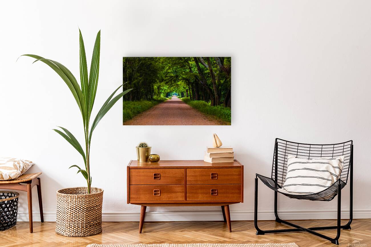 Alabama Backroad Reproduction