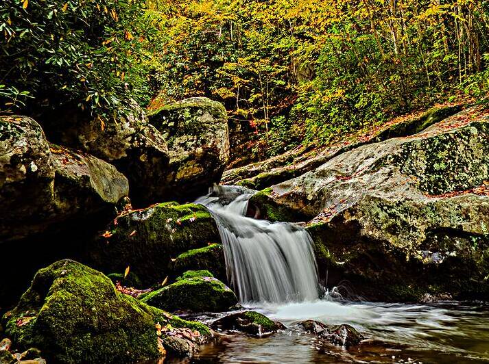Fall at Rocky Fork Reproduction