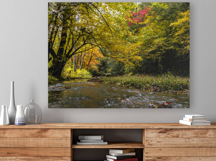 Reems Creek Fall  Reproduction