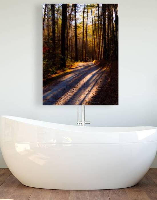 In The Woods Reproduction