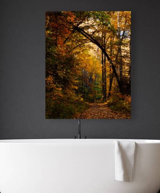 Pisgha Forest Trail Reproduction