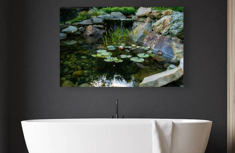 Lotus and Waterfall Reproduction